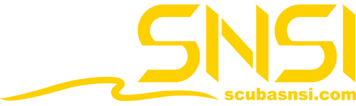 SNSI